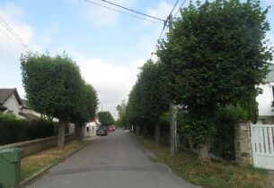 Abattage sécuritaire d’arbres